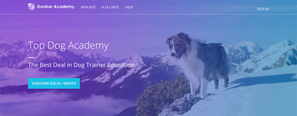 Best Dog Training Courses - Dr Dunbar