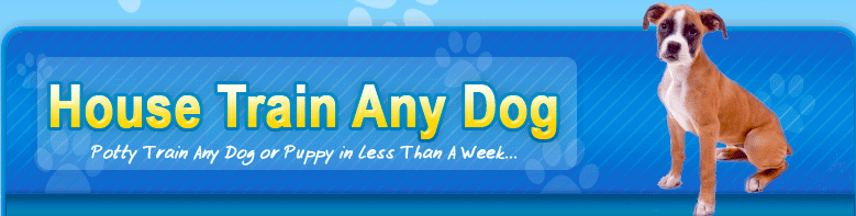 Best Dog Training Courses - House Train Any Dog