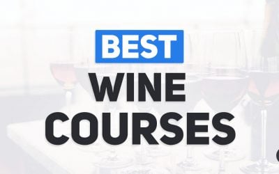 Best Online Wine Courses