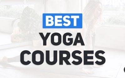 Best Online Yoga Courses
