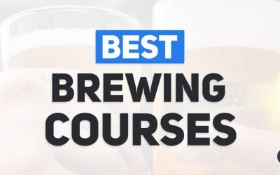 Best Online Beer Brewing Courses