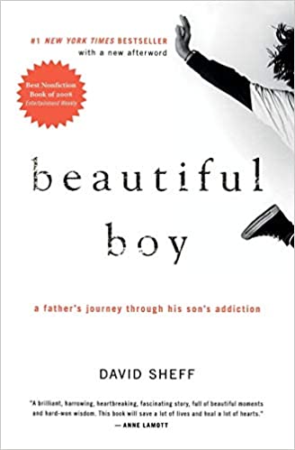 Beautiful Boy by David Sheff